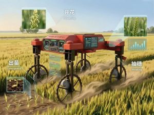 智能化小麦表型鉴定机器人