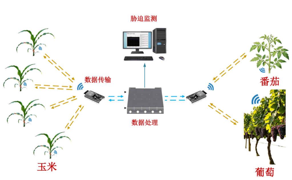 无线叶片运动传感器系统 无线叶片1