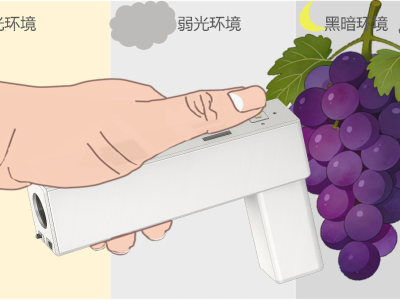 果实持式光谱检测仪