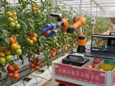 番茄分级采收机器人
